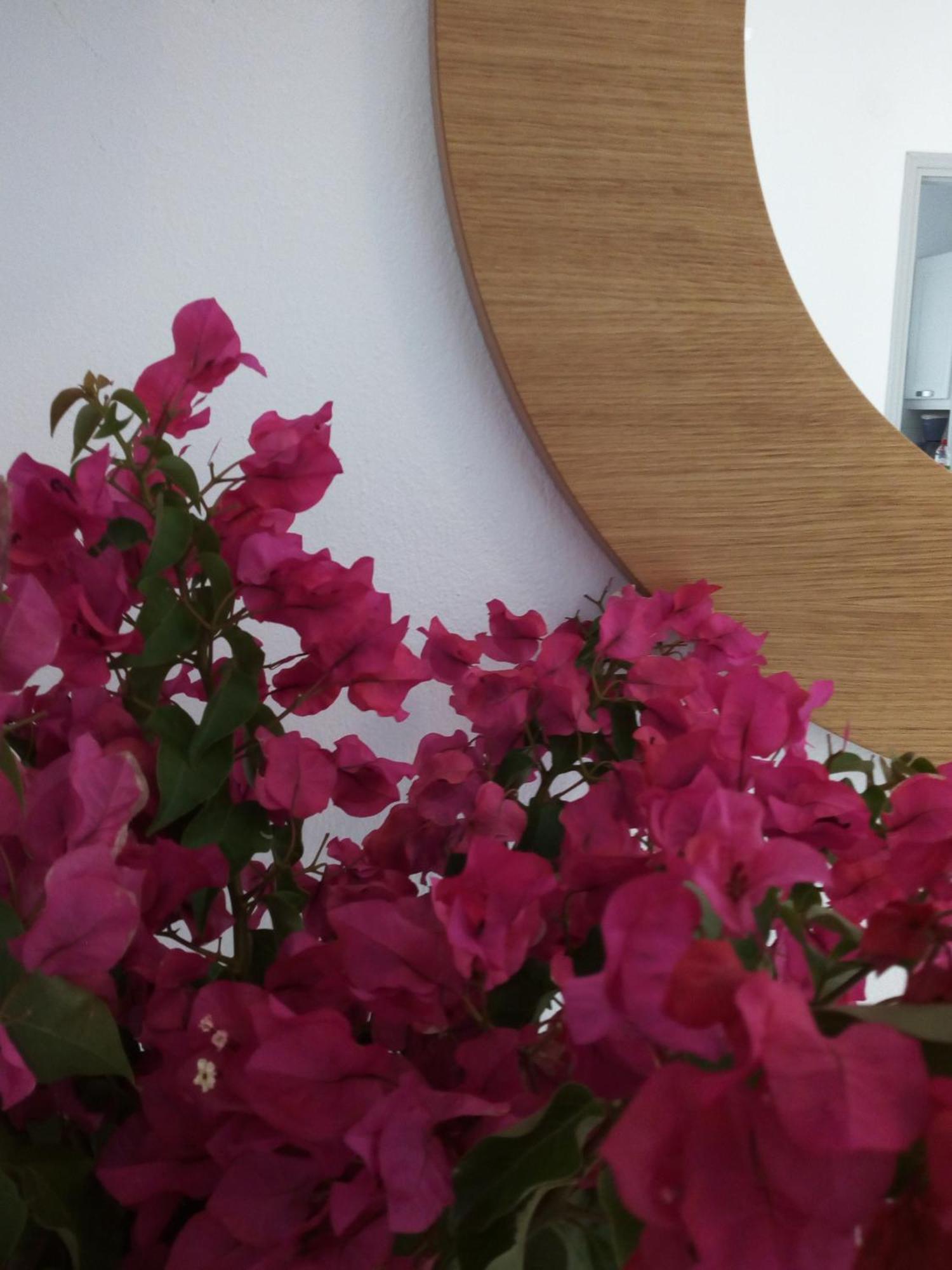Aparthotel Despina's Mare Naousa