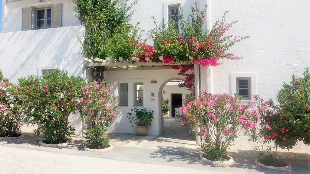 Aparthotel Despina's Mare Naousa