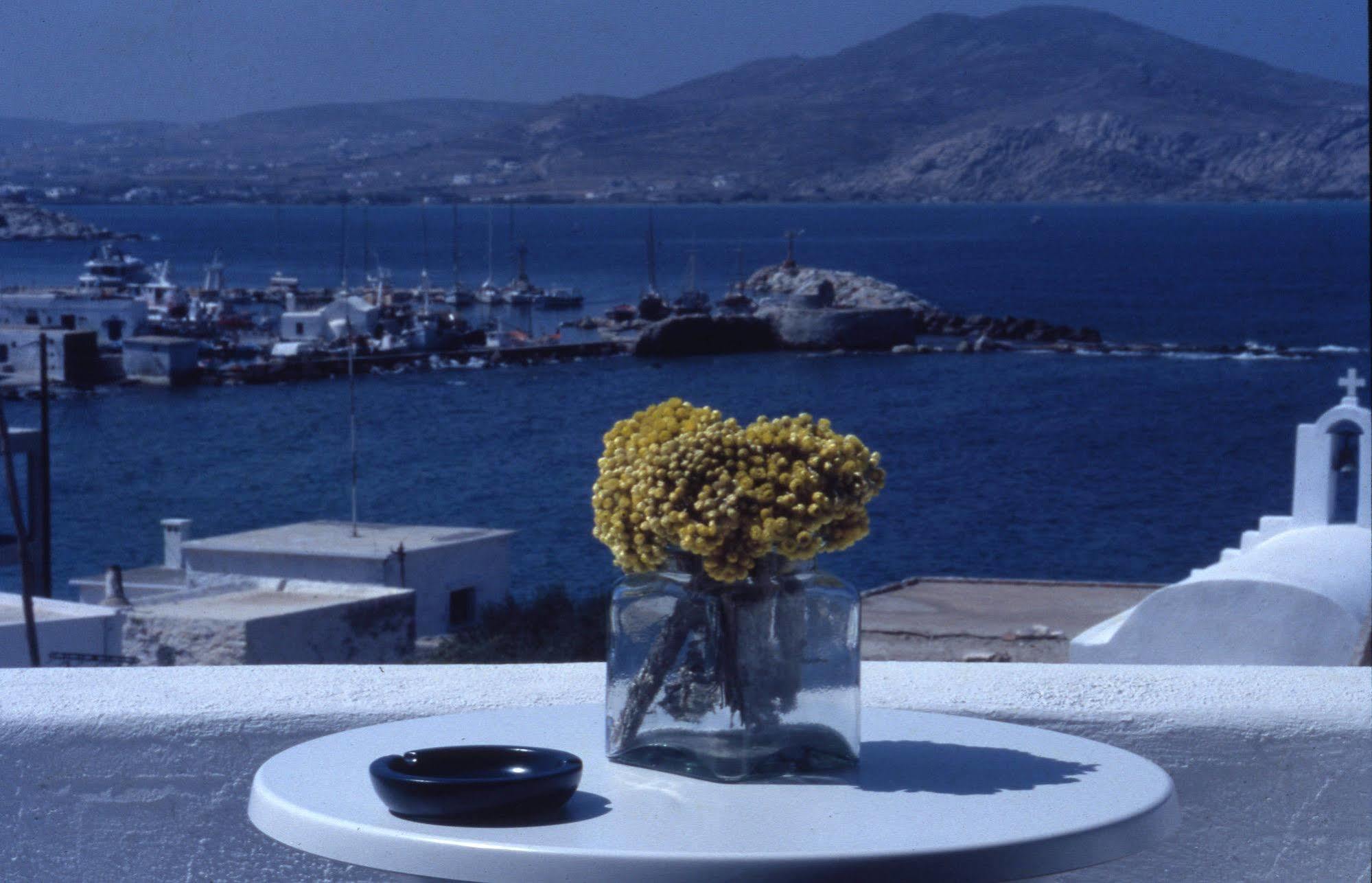 Despina's Mare Naousa